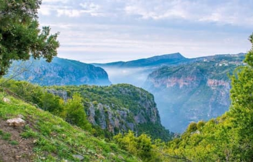 لبنان الأخضر قد يختفي!