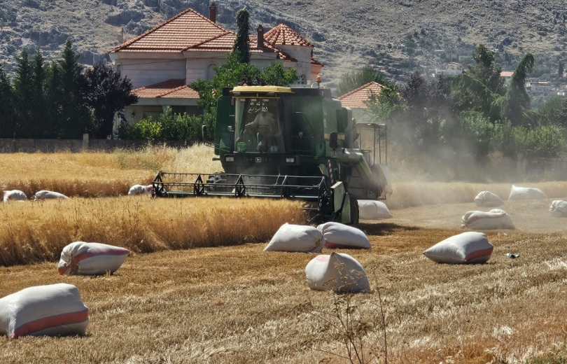 مزارعو القمح يطالبون بوقف دعم القمح المستورد والتهريب إلى سوريا