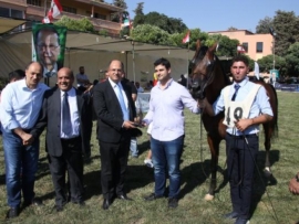 مسابقة جمال الخيول العربية في سنتها السابعة