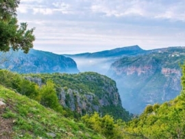 لبنان الأخضر قد يختفي!