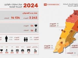 3243 شهيدا و 14134 جريحا منذ بدء العدوان