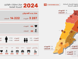   3287 شهيدا و 14222 جريحا منذ بدء العدوان