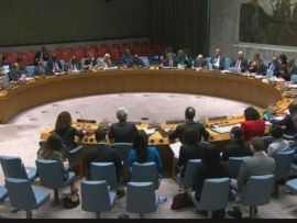 المنسّقة الخاصّة للأمم المتحدة في لبنان تقدّم احاطتها لمجلس الأمن