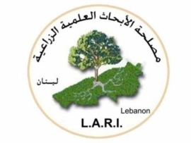 ارشادات من مصلحة الابحاث العلمية الزراعية Lari - وزارة الزراعة اللبنانية